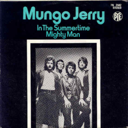 In The Summertime by Mungo Jerry Norwegian picture sleeve