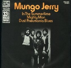 In The Summertime by Mungo Jerry UK Picture Sleeve